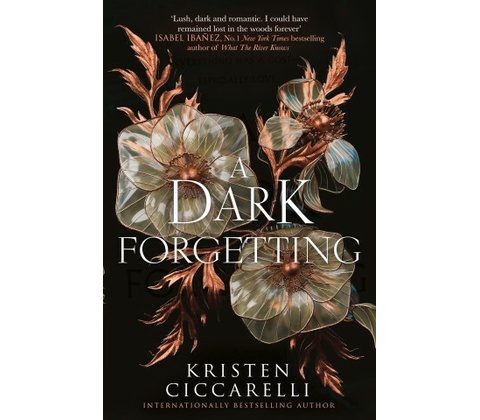 Dark Forgetting