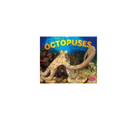 Tracer Octopus