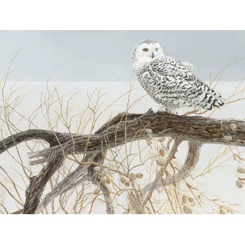 Cobble Hill - Puzzle Fallen Willow Snowy Owl - 500 piese