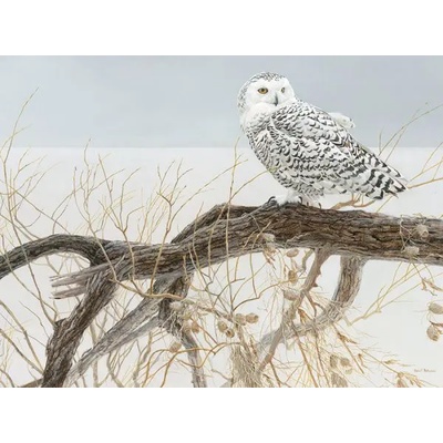 Cobble Hill - Puzzle Fallen Willow Snowy Owl - 500 piese