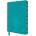 Flame Tree Publishing Louis Comfort Tiffany: Displaying Peacock Artisan Art Notebook (Flame Tree Journals) | Flame Tree Publishing