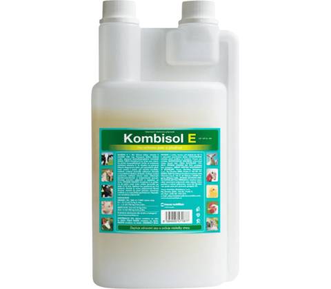 Kombisol E 1000 ml