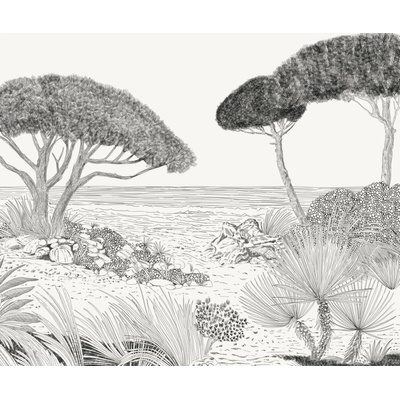 Komar Vliesová fototapeta Shoreline 250 x 300 cm