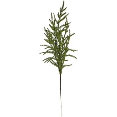 KONÁR ČEČINA ZELENÁ 64CM