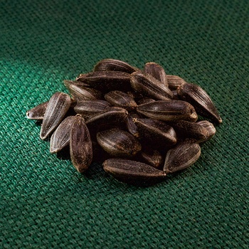 AROS slunečnice černá