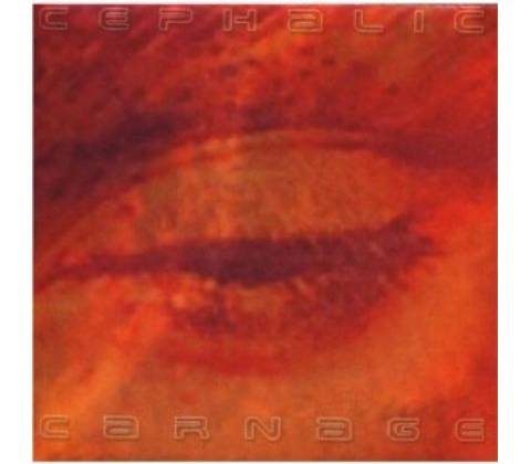 Lucid Interval - Cephalic Carnage CD