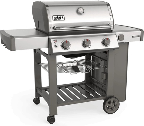 Weber Genesis II S-310