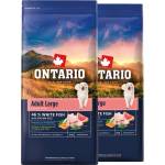 ONTARIO Adult Large Fish & Brown Rice 2 x 12 кг