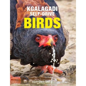 Kgalagadi Self-Drive Birds | Philip van den Berg, Ingrid van den Berg (ISBN: 9781776433261)