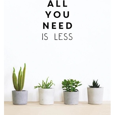 All You Need is Less - Minimalist Living for Maximum Happiness Vrint VickiPevná vazba