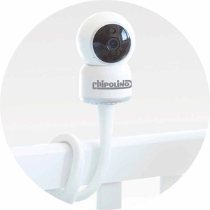 Chipolino VIBEFATCAM023