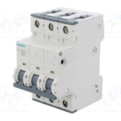 Siemens 5SY6306-6