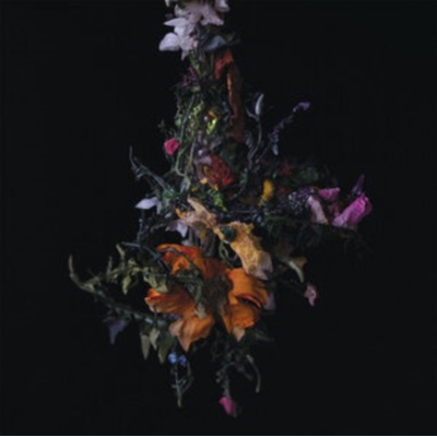 Nature Morte - Big|Brave LP