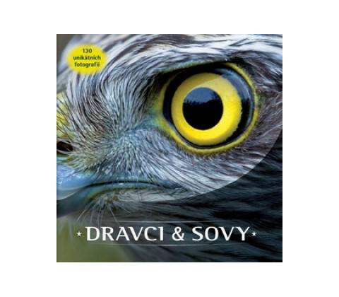 Dravci a sovy