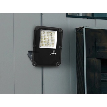 Nedes LF4024N