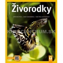 Živorodky