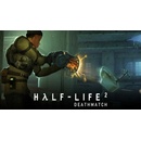 Half Life 2: Deathmatch