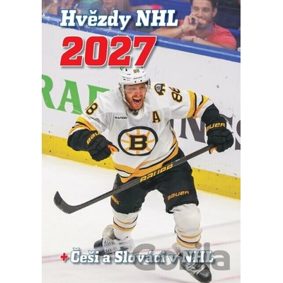 Hvězdy NHL 2027