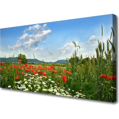 Obraz Canvas Lúka kvety príroda 100x50 cm