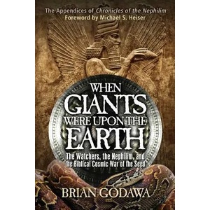 When Giants Were Upon the Earth | Brian Godawa (ISBN: 9780991143443)