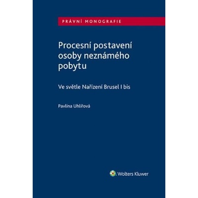 Procesní postavení osoby neznámého pobytu