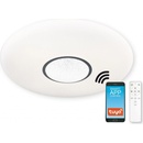 TK Lighting 1573