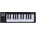 Arturia MicroLab MK3 Black