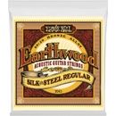 Ernie Ball 2043