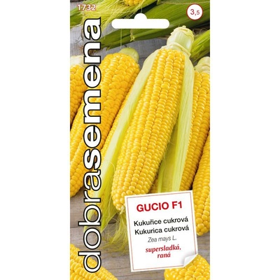 DOBRA SEMENA Kukurica cukrová GUCIO F1 1732 1,5g