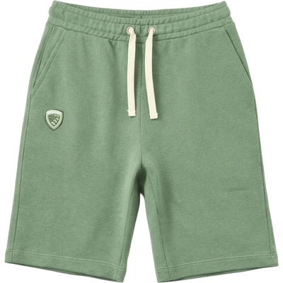 Blauer pánske kraťasy USA Summer Green