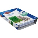 Trixie Tráva pro kočku v misce 100 g