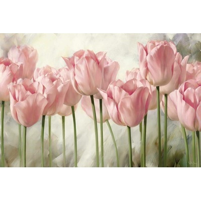 Růžové tulipány 1 obraz na desce 1 deska 90x60