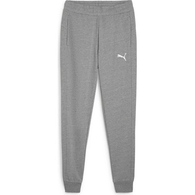 Puma Teamgoal 23 Casual Pant sivá