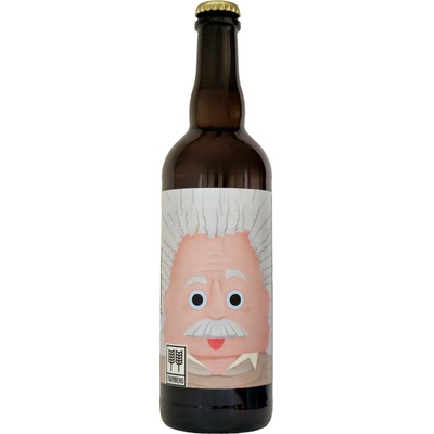 Twinberg 10°Albert 3,5% 0,75 l (sklo)