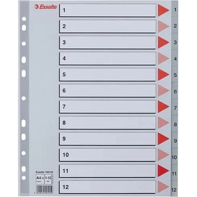 ESSELTE Register, plastový, A4 Maxi, 1-12, ESSELTE, sivý