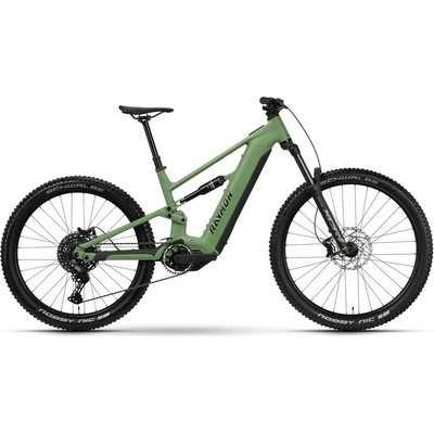 Raymon Ravor Pure 2026