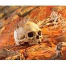 Hagen Exo Terra Lidská lebka 15x11,5x10,5 cm