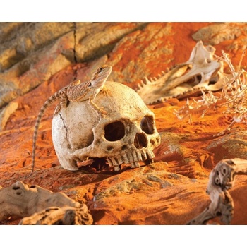 Hagen Exo Terra Lidská lebka 15x11,5x10,5 cm