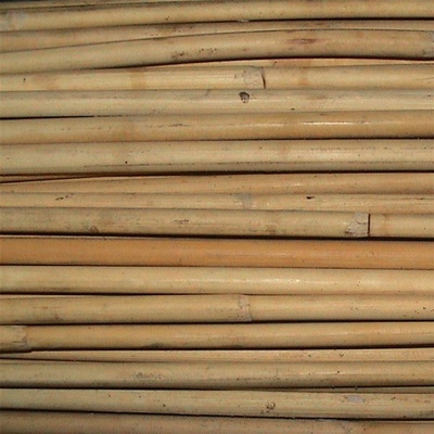 Rákos SEGA pr.8-10mm AA balík 25kg 5208000 – Hledejceny.cz