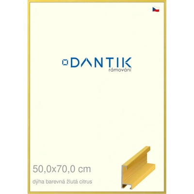 DANTIK rám na obraz 50 x 70 Dýha barevná žlutá citrus