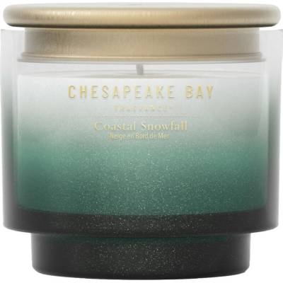 Chesapeake Bay Coastal Snowfall 85 g