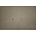 Compatible Ресет чип, Black, 2'000 копия, Xerox 6110 (106R01203-CHIP)