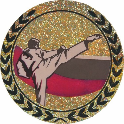 AGM211 Emblém hologram karate pr.50mm