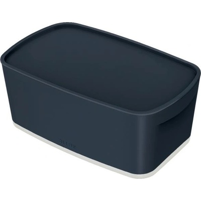 Leitz Úložný box s vekomMyBox, veľkosť S zamatový šedý