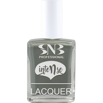 SNB Лак за нокти snb Интензив Ина, сив, 15 мл (nli008)