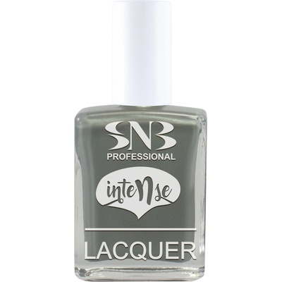 SNB Лак за нокти snb Интензив Ина, сив, 15 мл (nli008)