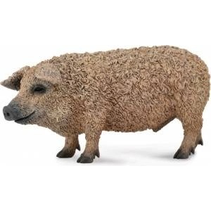 CollectA Swinia vegierska Mangalica