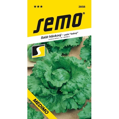 ŠALÁT HLÁVKOVÝ jarný ľadový Medimo