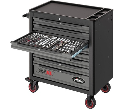Vigor V5434