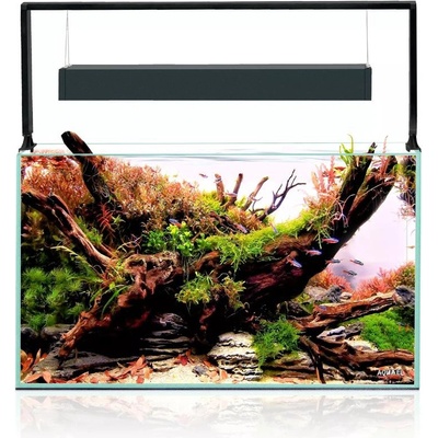 Aquael UltraScape set 60 forest 60 x 30 x 36 cm